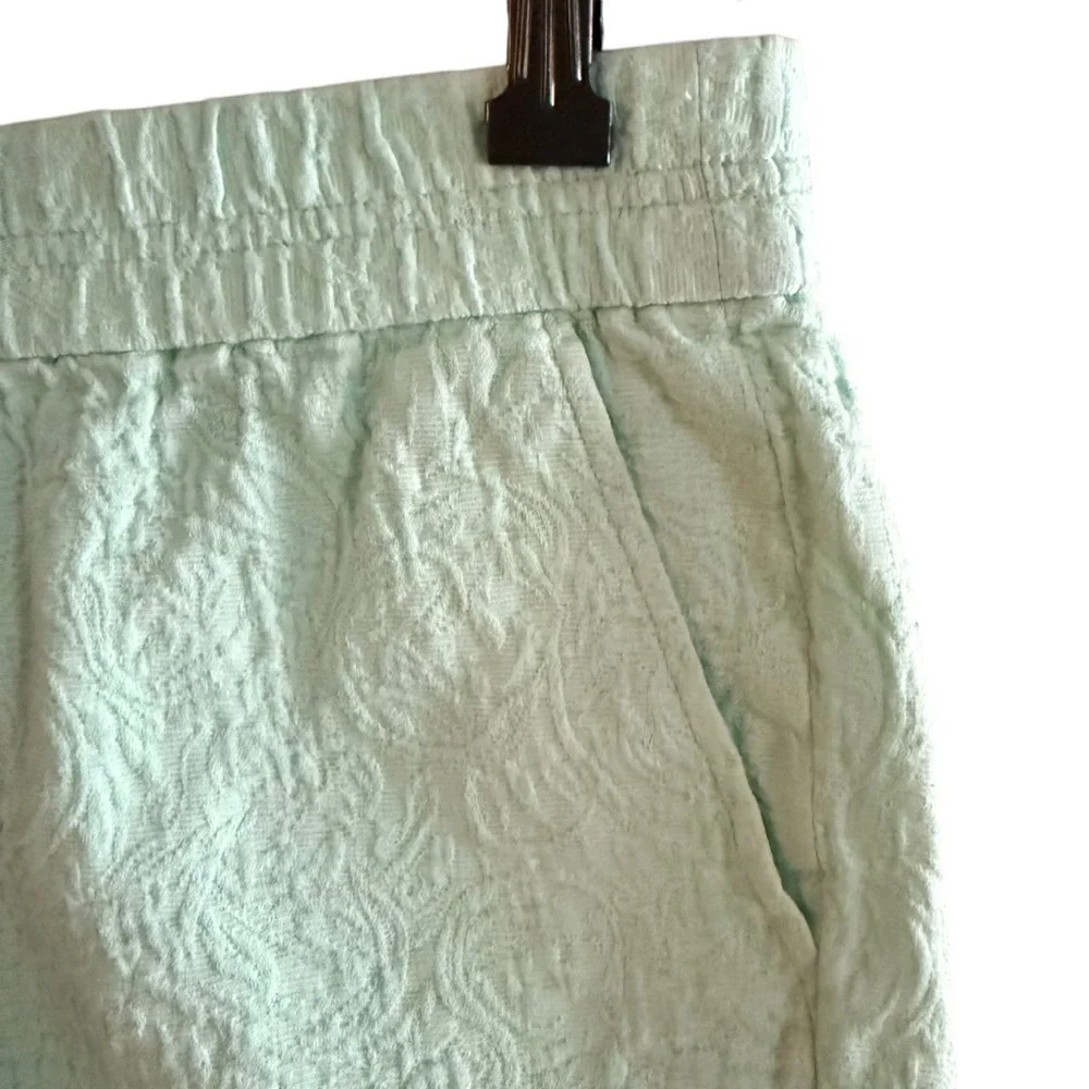 J Crew Women's 4 classic Shorts Cotton Mint Green Textured beach spring summer